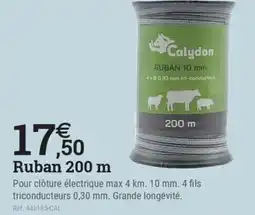 Espace emeraude CALYDON Ruban 200 m offre