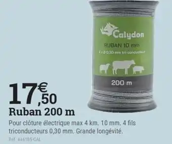 Espace emeraude CALYDON Ruban 200 m offre