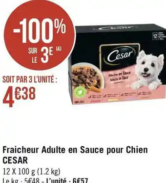 Géant Casino Cesar fraicheur adulte en sauce pour chien offre