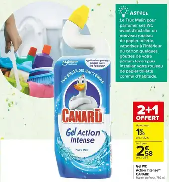 Carrefour Market Canard gel wc action intense offre