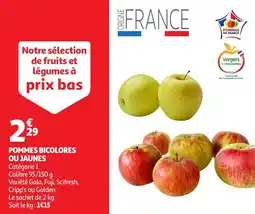 Auchan Pommes bicolores ou jaunes offre