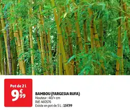 Auchan Bambou fargesia rufa offre