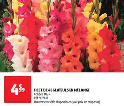 Auchan Filet de 45 glaïeuls en mélange offre