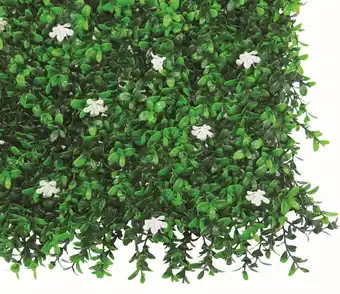 Jardiland Mur végétal Jasmin offre