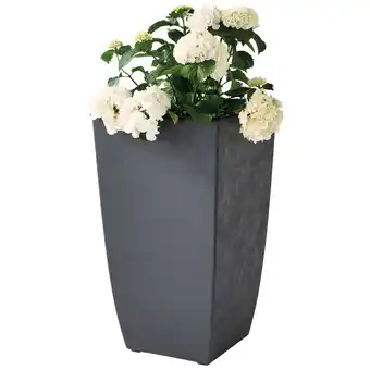 Jardiland Pot carré Diva basalt offre