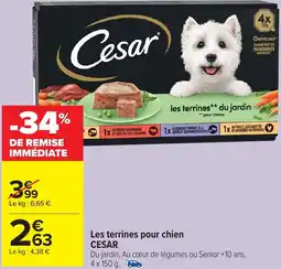 Carrefour Market Les terrines pour chiens Cesar offre