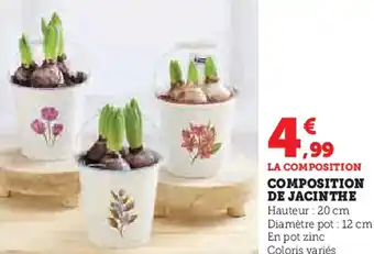 U Express Composition de jacinthe offre