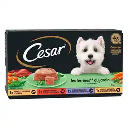 Carrefour Market CESAR Les terrines pour chien offre