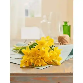 Carrefour Bouquet de 20 jonquilles crayon offre