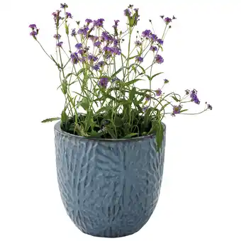 Jardiland ECLOZ Pot Flower ECLOZ offre