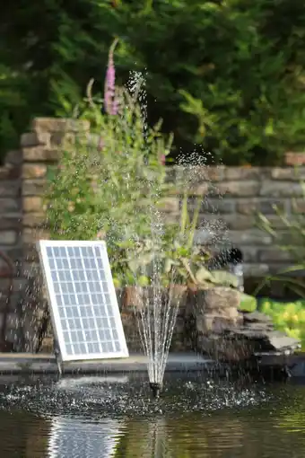 Jardiland Pompe solaire Solarmax 600 offre