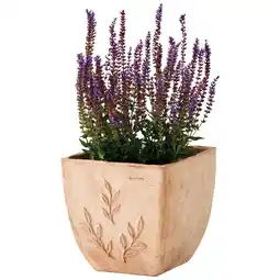 Jardiland ECLOZ Pot carré Amano ECLOZ offre