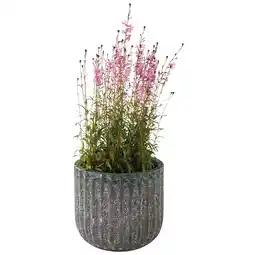 Jardiland Pot Petra ECLOZ offre