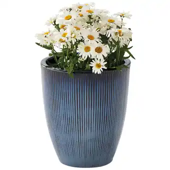 Jardiland ECLOZ Pot Stripes ECLOZ offre