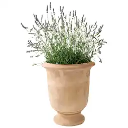 Jardiland ECLOZ Vase Rhode ECLOZ offre