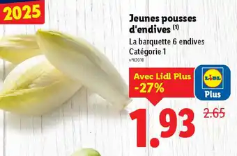 Lidl Jeunes pousses d'endives offre