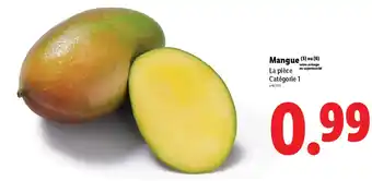 Lidl Mangue offre