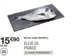 Monoprix Dorade royale offre