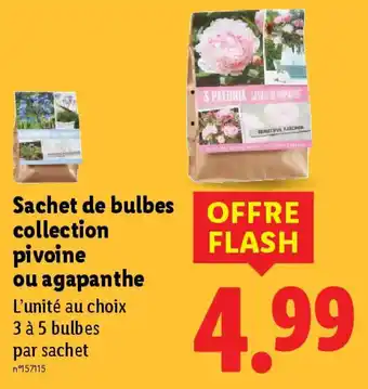 Lidl Sachet de bulbes collection pivoine ou agapanthe offre