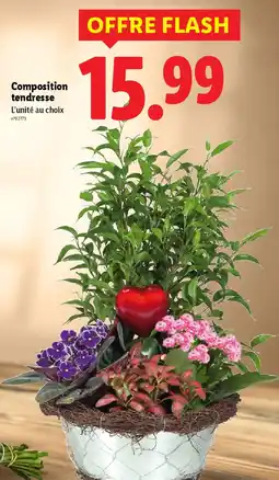 Lidl Composition tendresse offre