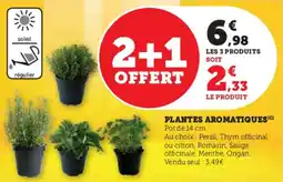 Super U Plantes aromatiques offre