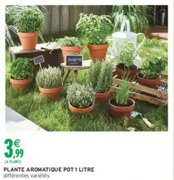 Intermarché Hyper Plante aromatique offre