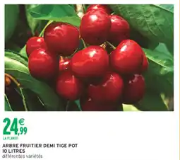 Intermarché Hyper Arbre fruitier demi tige offre