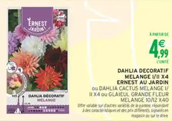 Intermarché Hyper Dahlia decoratif melange i/ii x4 ernest au jardin offre