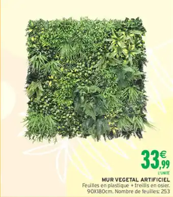 Intermarché Hyper Mur vegetal artificiel offre