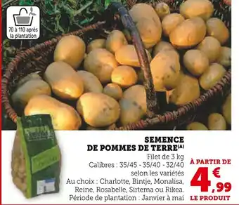 Super U Semence de pommes de terre offre