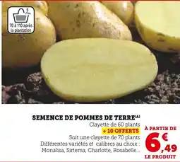 Super U Semence de pommes de terre offre