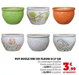 Super U Pot boule uni ou fleuri ø 17 cm offre