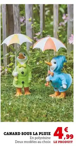 Super U Canard sous la pluie offre