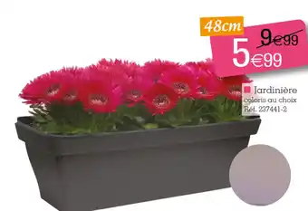 Kandy Jardinière offre