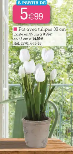 Kandy Pot avec tulipes 30 cm offre