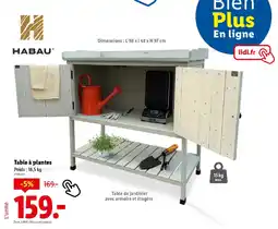 Lidl Table à plantes offre