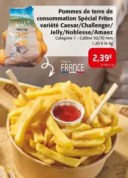 Pommes de terre de consommation Spécial Frites variété Caesar/Challenger/ Jelly/Noblesse/Amaez