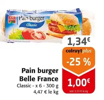 Colruyt BELLE FRANCE Pain burger offre