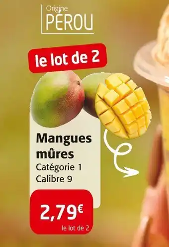 Colruyt Mangues mûres offre