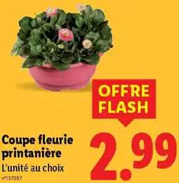 Lidl Coupe fleurie printanière offre