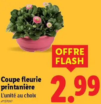 Lidl Coupe fleurie printanière offre