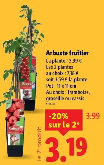 Lidl Arbuste fruitier offre