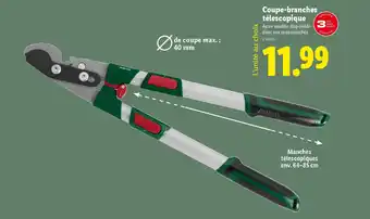 Lidl Coupe-branches télescopique offre