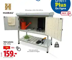 Lidl Table à plantes offre