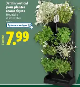 Lidl Jardin vertical pour plantes aromatiques offre