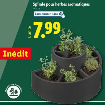 Lidl Spirale pour herbes aromatiques offre