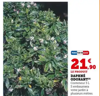 Hyper U Daphné odorant offre