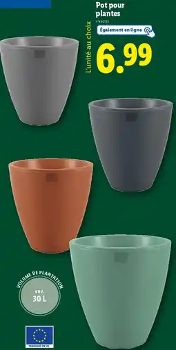 Lidl Pot pour plantes offre