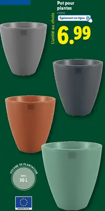 Lidl Pot pour plantes offre