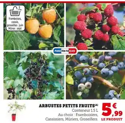 Hyper U Arbustes petits fruits offre